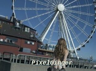 PixelGinger