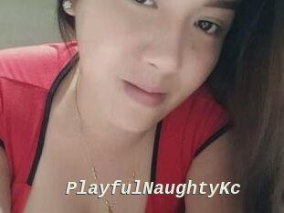 PlayfulNaughtyKc