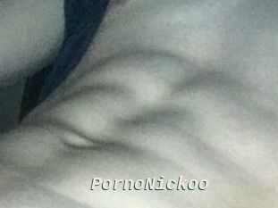 PornoNickoo