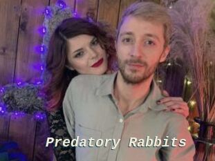 Predatory_Rabbits