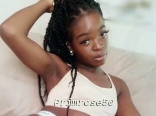 Primrose50