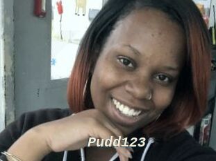 Pudd123