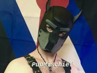 PupMischief