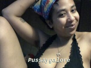 Pussaygalore