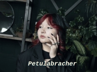 Petulabracher