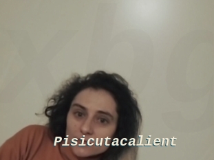 Pisicutacalient