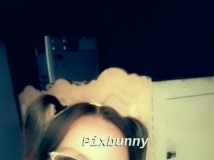 Pixbunny