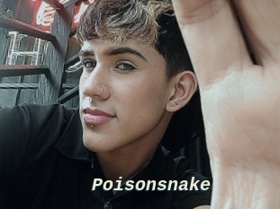 Poisonsnake
