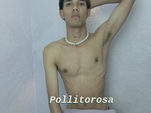 Pollitorosa