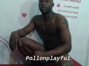 Pollonplayful