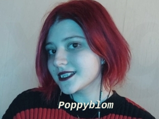 Poppyblom