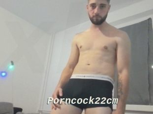 Porncock22cm