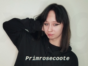 Primrosecoote