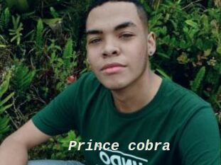 Prince_cobra