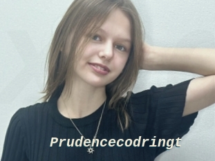Prudencecodringt