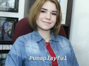 Pumaplayful