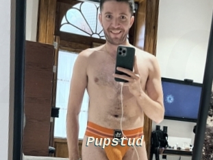 Pupstud