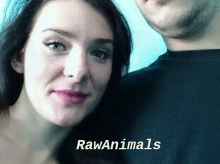 RawAnimals