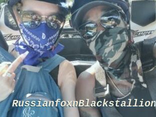 RussianfoxnBlackstallion