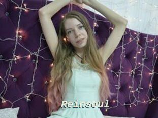 Reinsoul