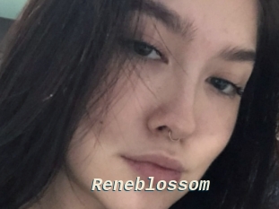 Reneblossom