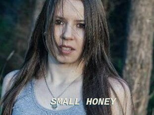 SMALL_HONEY