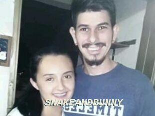 SNAKEANDBUNNY