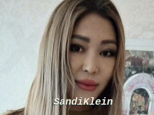 SandiKlein