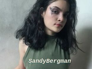 SandyBergman