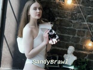 SandyBrawl