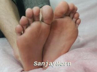 SanjayHorn