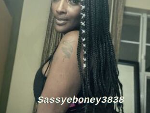 Sassyeboney3838