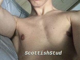 Scottish_Stud