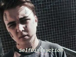 SelfDistruction