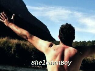 ShelodonBoy