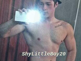 ShyLittleBoy20