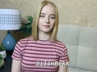 SilinBekk