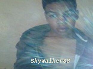 SkyWalker88