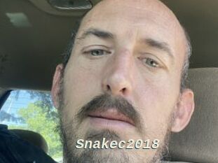 Snakec2018