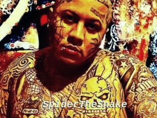 SpiderTheSnake