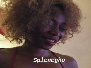 Splenegho