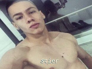 Stier