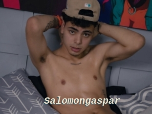 Salomongaspar