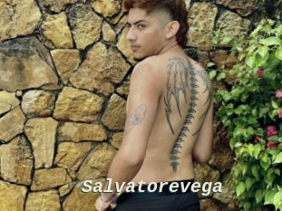 Salvatorevega