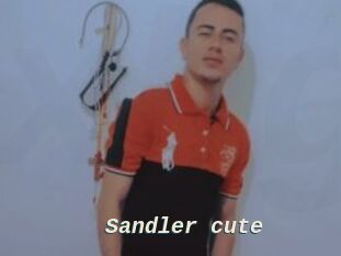 Sandler_cute