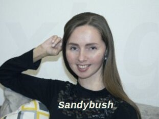 Sandybush