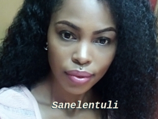 Sanelentuli