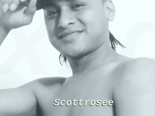 Scottrosee