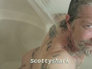 Scottyshark