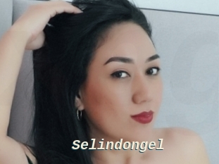 Selindongel
